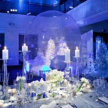 Winter Wonderland Bat Mitzvah